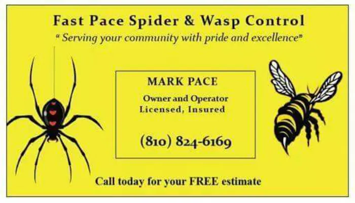 Fast Pace Spiders and Wasp Control, LLC Picture 3