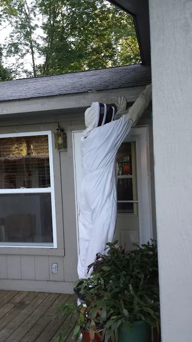 Fast Pace Spiders and Wasp Control, LLC Picture 5