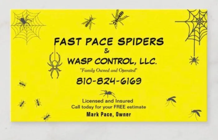 Fast Pace Spiders and Wasp Control, LLC Picture 4
