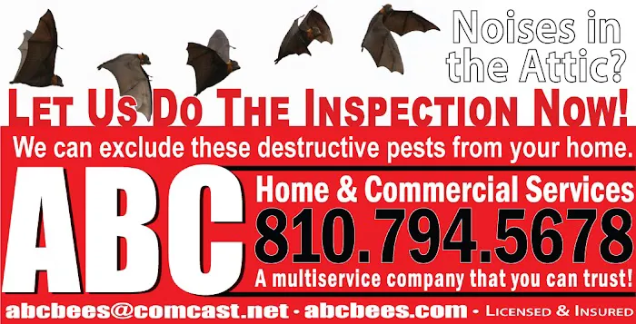 ABC Home & Commercial Services Picture 3