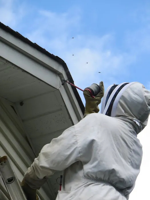ABC Home & Commercial Services Picture 10