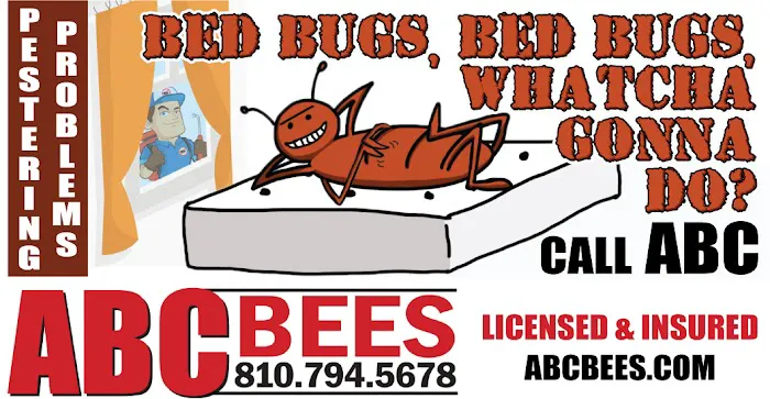 ABC Home & Commercial Services Picture 9