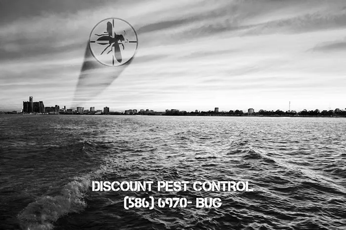Discount Pest Control Picture 6