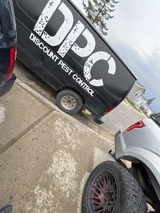 Discount Pest Control Picture 5