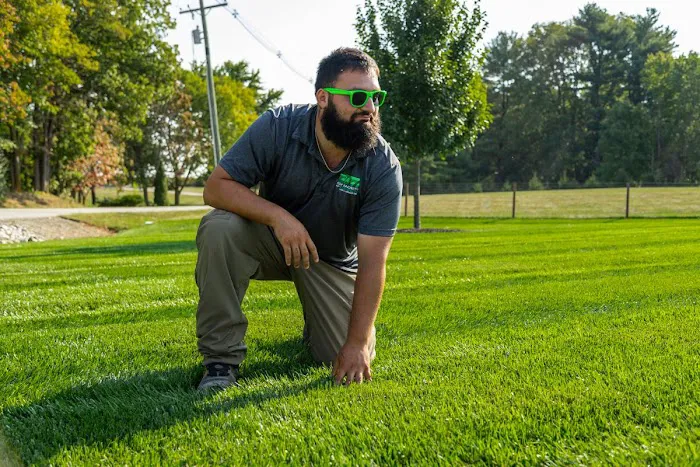 Shades of Green Lawn and Landscape Picture 3