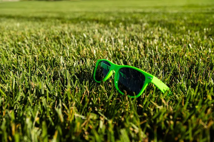 Shades of Green Lawn and Landscape Picture 1