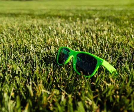 Shades of Green Lawn and Landscape