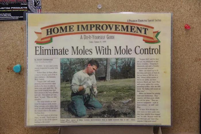 Trapper Bob's Mole Control Picture 4