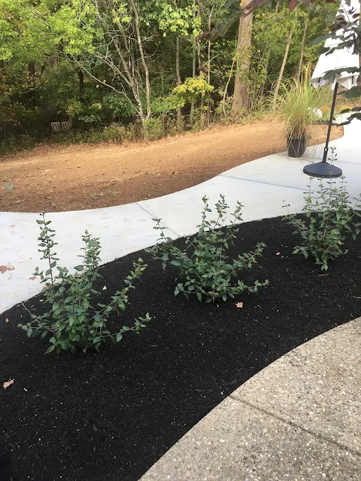 Four Seasons Landscape Management Picture 9
