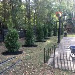 Four Seasons Landscape Management