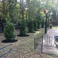 Four Seasons Landscape Management ico