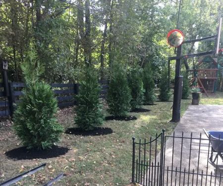 Four Seasons Landscape Management