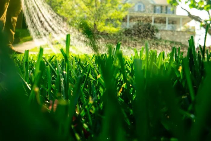 Farison Lawn Care Picture 6