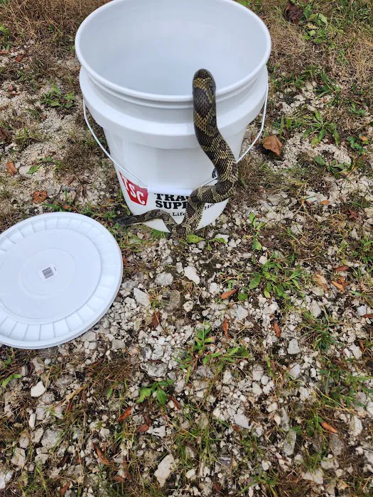 Dave's Termite & Pest Control Inc Picture 8