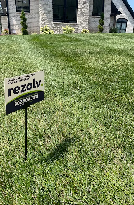 Rezolv. Environmental Picture 3
