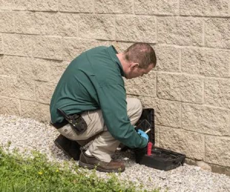 Action Pest Control