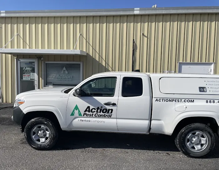 Action Pest Control Picture 2