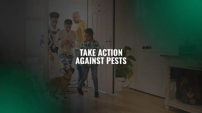 Action Pest Control Picture 5
