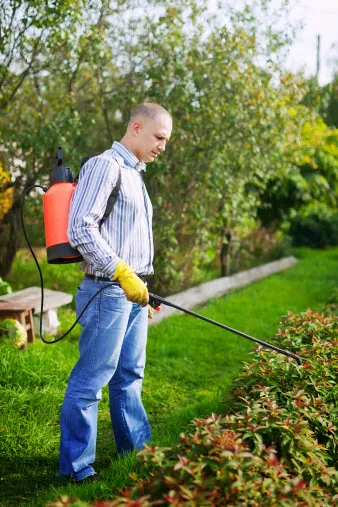 YES Pest Pros Picture 8
