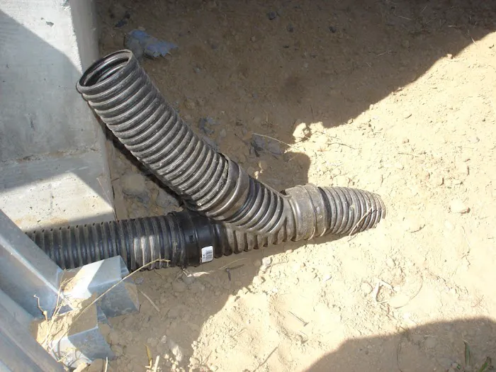 YES Pest Pros Picture 10