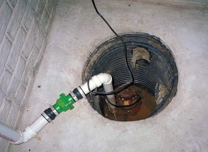 YES Pest Pros Picture 4