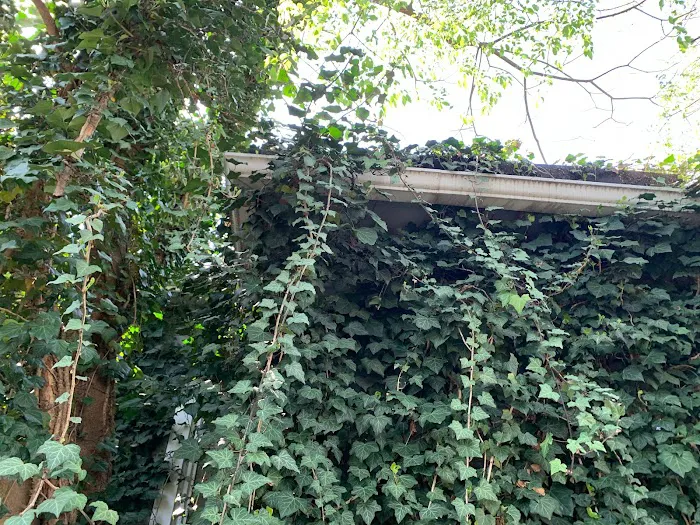 Decker Pest Control, LLC Picture 3