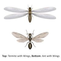 Decker Pest Control, LLC ico