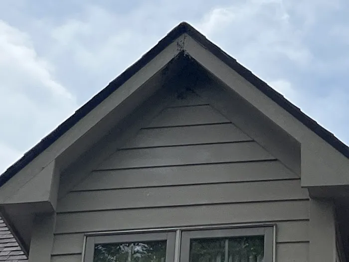 Greenix Pest Control Picture 9