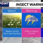 Morrow's Termite and Pest Control