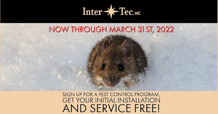 InterTec, Incorporated Picture 2