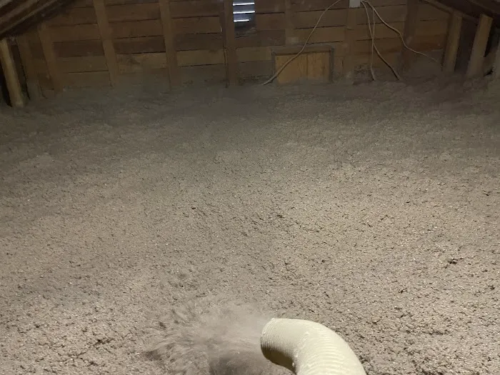 All-In Pest Control & Home Solutions Picture 4