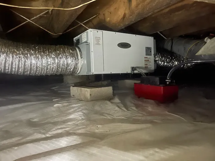 All-In Pest Control & Home Solutions Picture 6