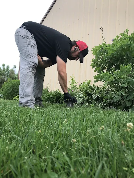 All-In Pest Control & Home Solutions Picture 8