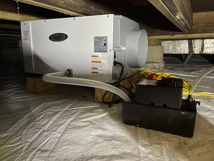 All-In Pest Control & Home Solutions Picture 3