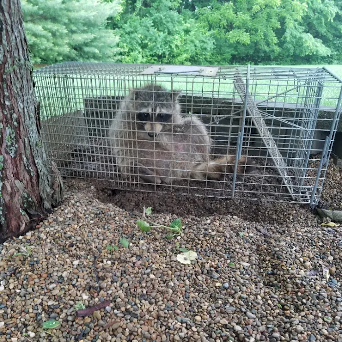 Indiana Wildlife Pros Picture 10
