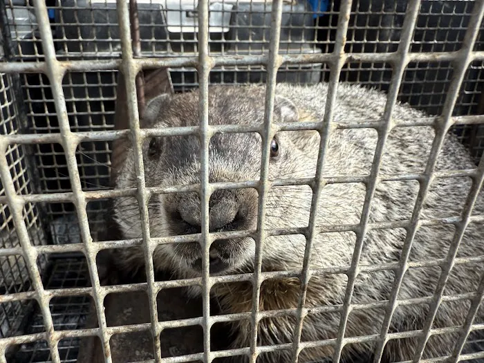 Indiana Wildlife Pros Picture 8