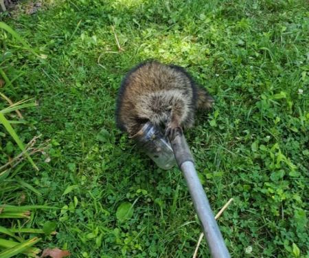 Indiana Wildlife Pros