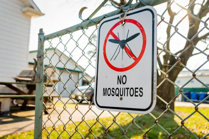 Dial One Real-Estate Pest Control Inc Picture 1