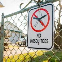 Dial One Real-Estate Pest Control Inc ico