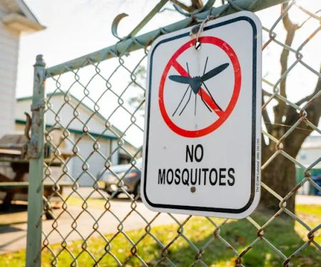 Dial One Real-Estate Pest Control Inc