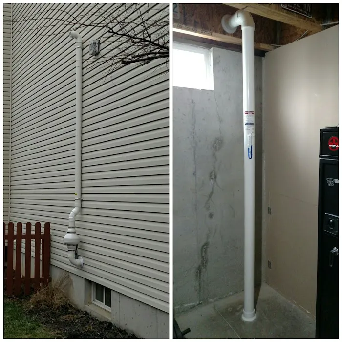 Integrated Pest Management Services Picture 4