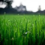 Turf Pro Outdoor Solutions