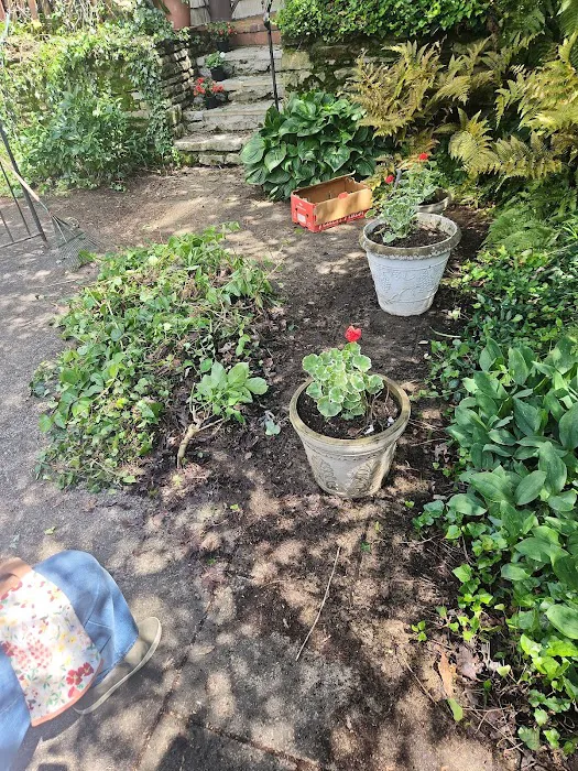 Weed Man Lawn Care Picture 7