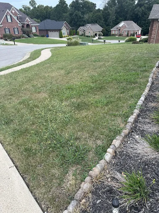 Weed Man Lawn Care Picture 2