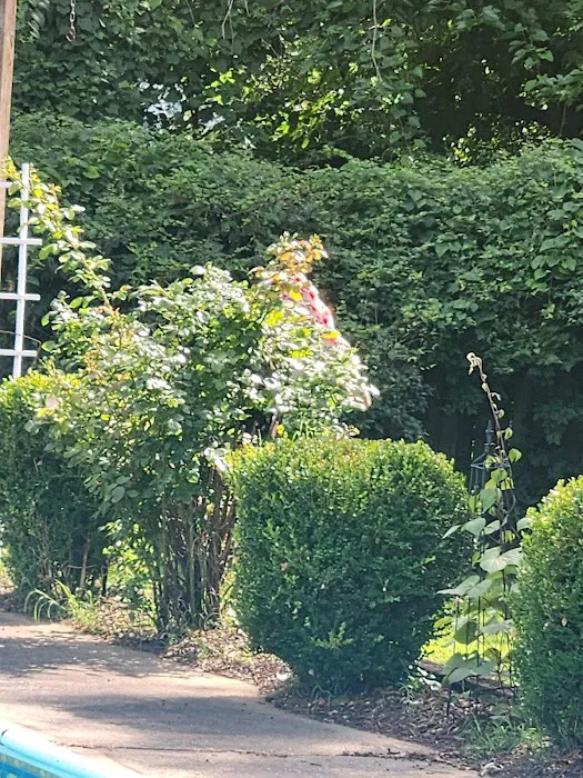 Weed Man Lawn Care Picture 10