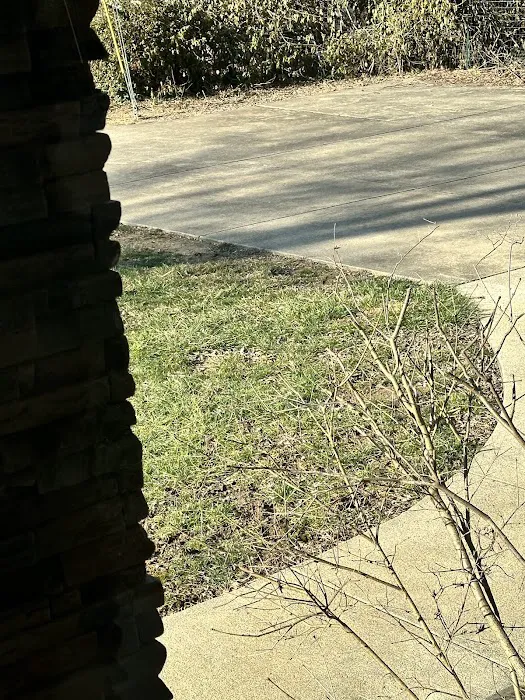 Weed Man Lawn Care Picture 1