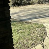 Weed Man Lawn Care ico