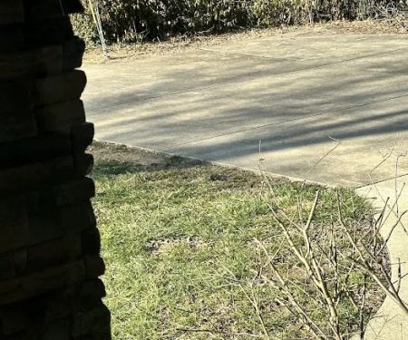 Weed Man Lawn Care