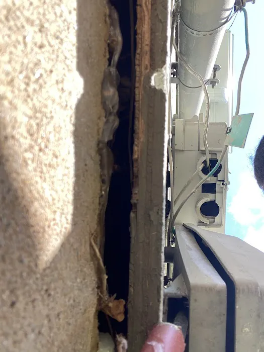 OPC Pest Services Picture 2