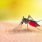 OPC Pest Services